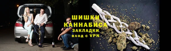МДПВ Бородино