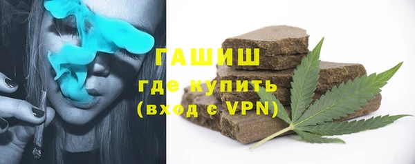МДПВ Бородино
