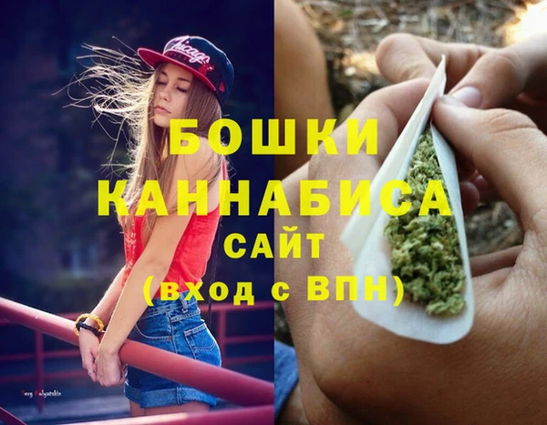 гашик Бронницы