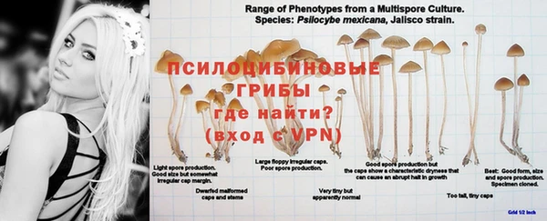 гашик Бронницы